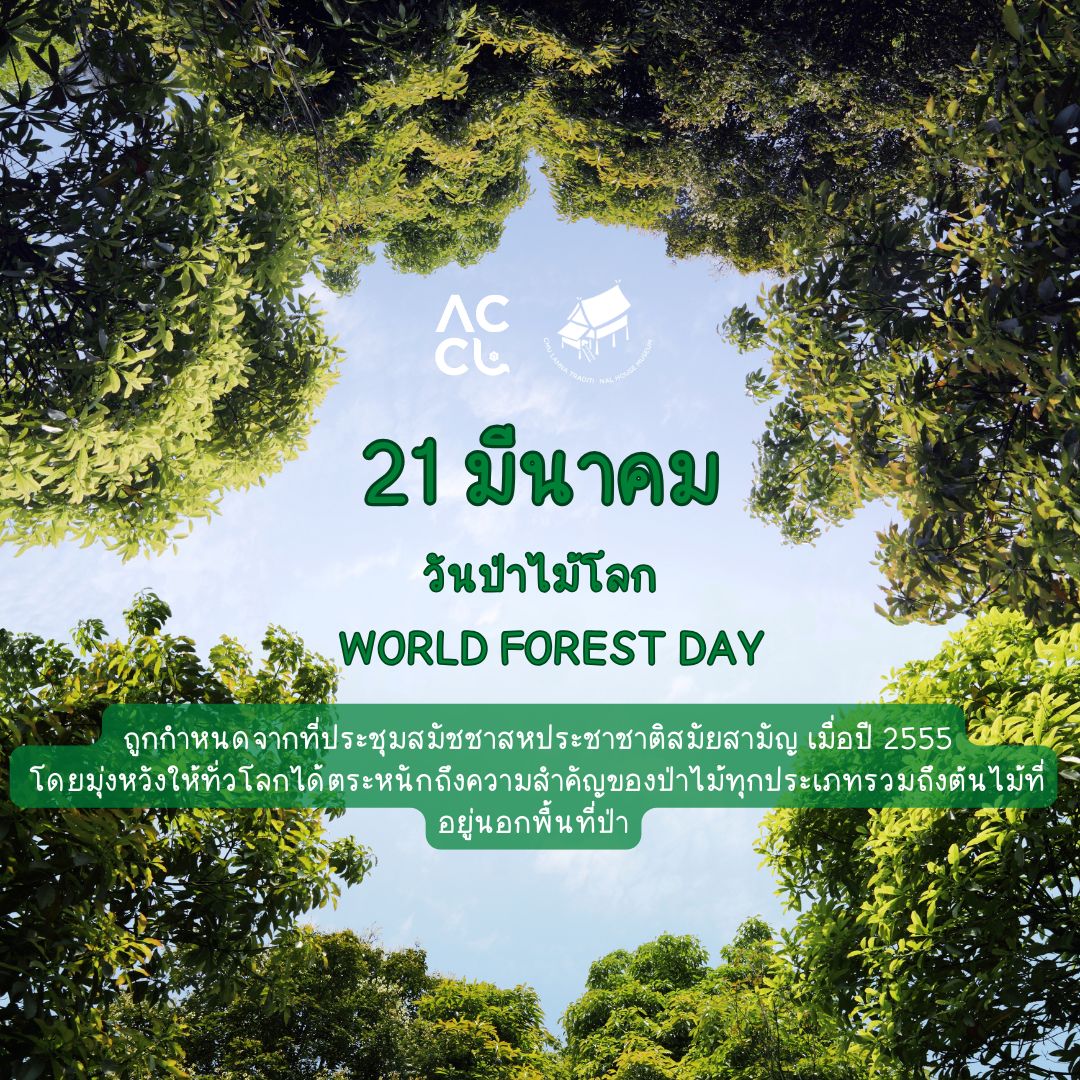 21 มีนาคม วันป่าไม้โลก World FOREST DAY