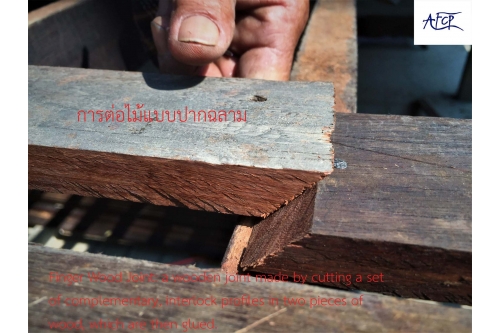 เทคนิคการต่อไม้แบบปากฉลาม - Finger Wood Joint technique