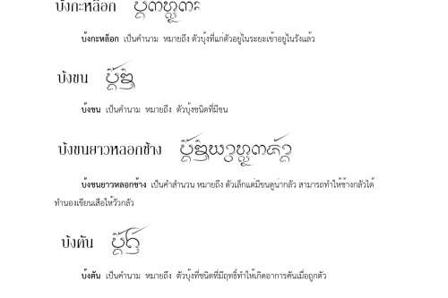 บ่ง บ้งแม่ไหม - 9 มกราคม 2561