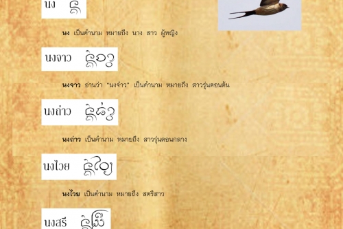 นกเเอ่น นงราม - 7 กุมภาพันธ์ 2560