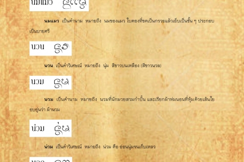 นมผา นอง - 28 กุมภาพันธ์ 2560