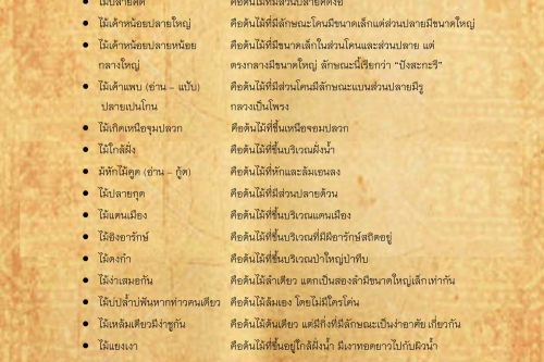 พิธีกรรมเเละความเชื่อการปลูกเรือนล้านนา(19) - 25 กุมภาพันธ์ 2562