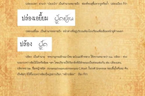 ปล่องเปลว ปล้อง - 28 พฤษภาคม 2562