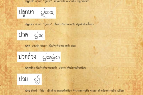 ปลูกเข้า ปวยตัว - 27 สิงหาคม 2562