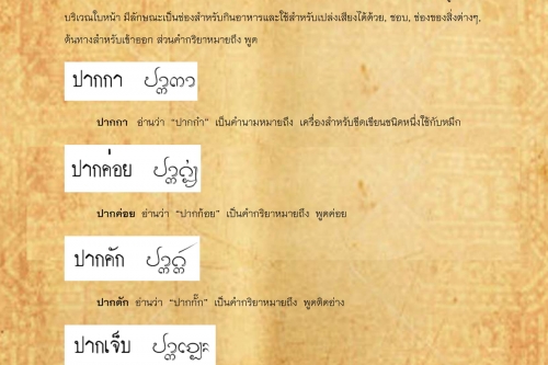 ปาก ปากเเชะ - 26 พฤศจิกายน 2562