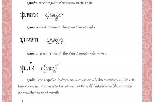 ปุมเพร้อ ปุมหลวง ปุมหลาม ปุมเป้ง ปุ่ม  - 19 พฤษภาคม 2563