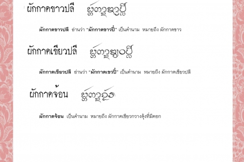 ผักกาด ผักกาดขาวปลี ผักกาดเขียวปลี ผักกาดจ้อน ผักกาดชอ ผักกาดดอง - 27 เมษายน 2564