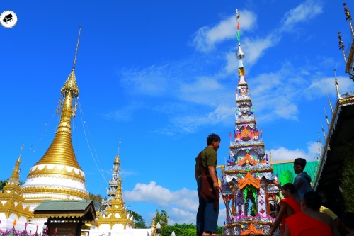 ปอยออกหว่า (ปอยเหลินสิบเอ็ด) ออกพรรษาของไทใหญ่ 