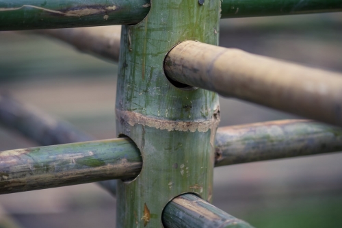 การสร้างเรือนเครื่องผูก ภายใต้กิจกรรม - Building a bamboo house of the “Artisans Talk” woodworking and traditional kruang puuk house construction workshop