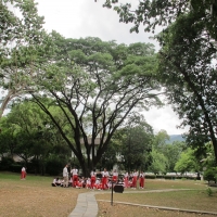 คณะครูและนักเรียนจากโรงเรียนดาราวิทยาลัย เยี่ยมชมพิพิธภัณฑ์เรือนโบราณล้านนา มช.